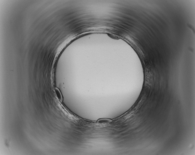 X0000100341196200806261319