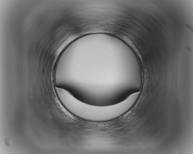 X0000100341197200806261319