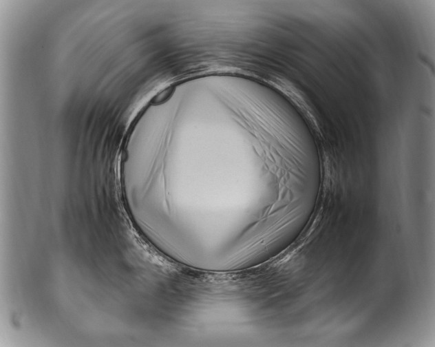 X0000100341198200806261319