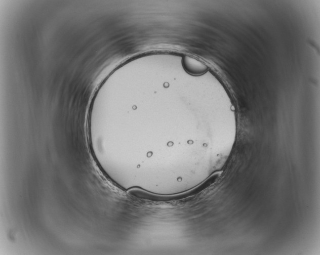 X0000100341199200806261319