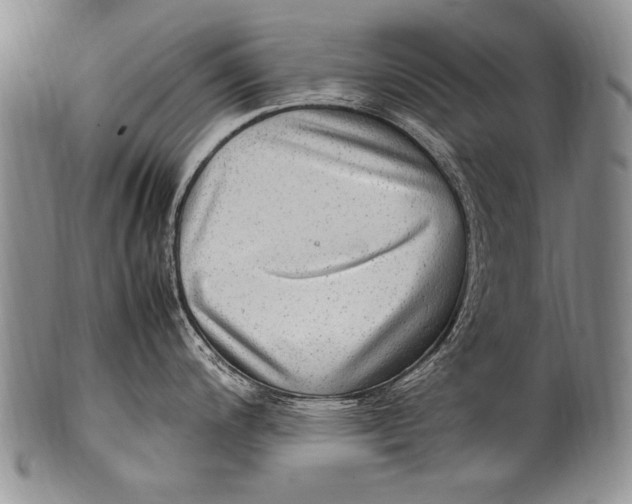 X0000100341200200806261319