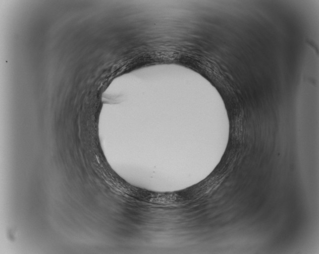 X0000100341201200806261318