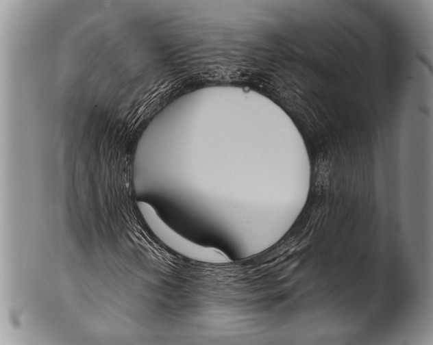 X0000100341202200806261318