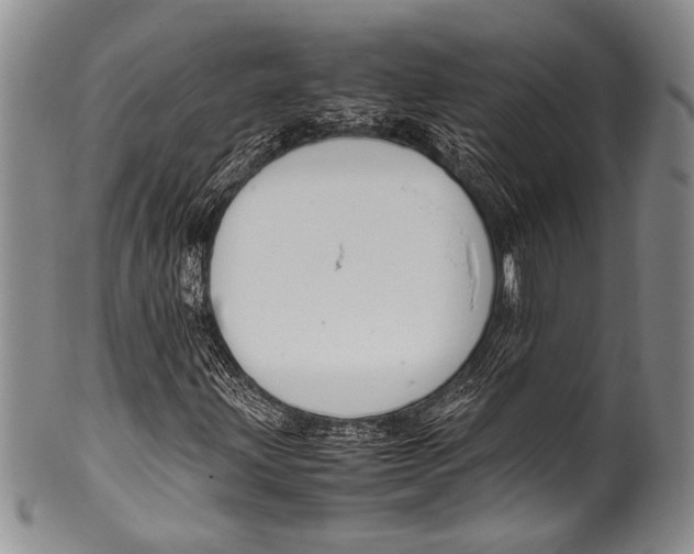 X0000100341203200806261318