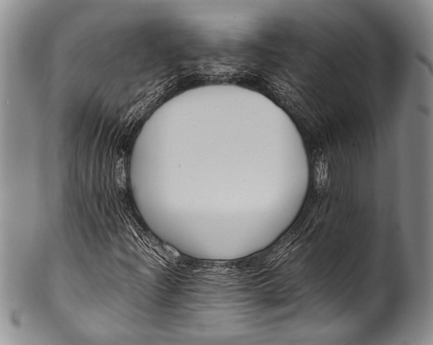 X0000100341204200806261318