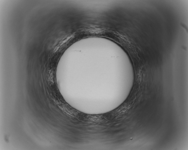 X0000100341205200806261318