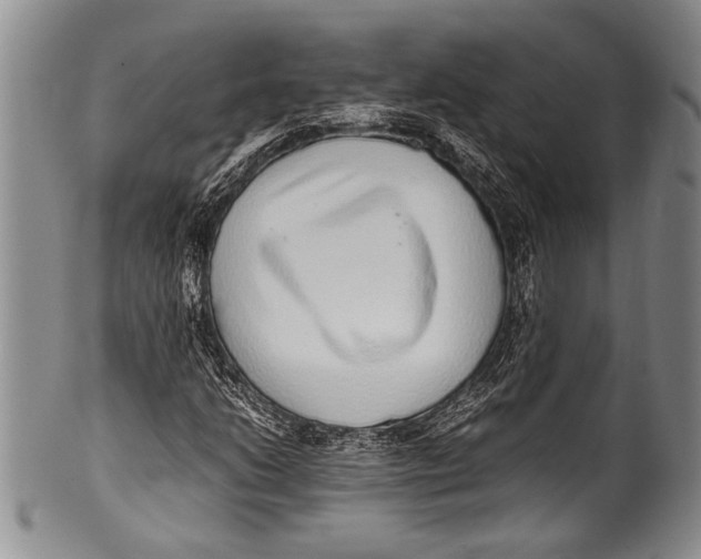 X0000100341206200806261318