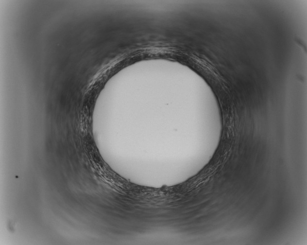 X0000100341207200806261318