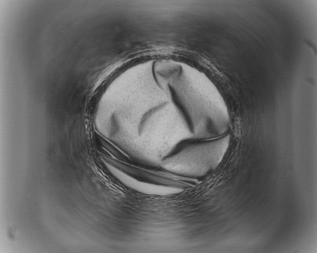 X0000100341208200806261318