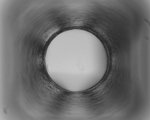 X0000100341210200806261318