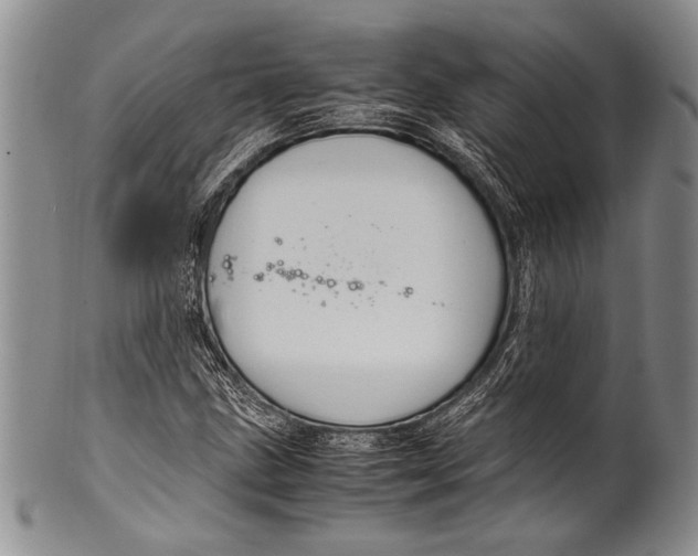 X0000100341211200806261318