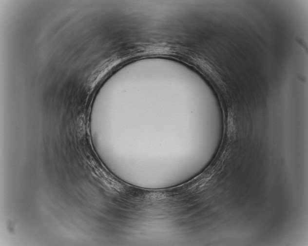 X0000100341212200806261318