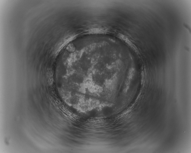 X0000100341213200806261318