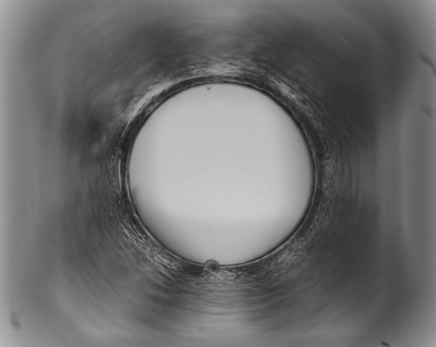 X0000100341214200806261318