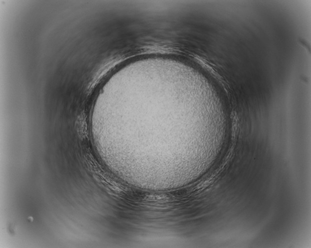 X0000100341215200806261318