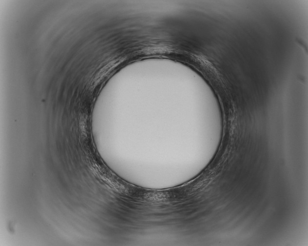 X0000100341217200806261318