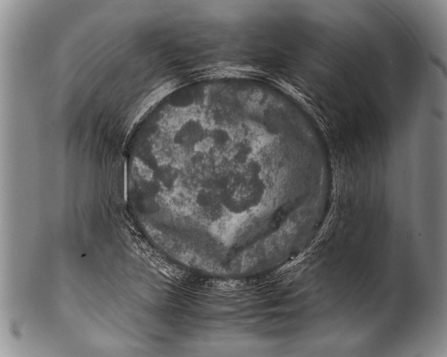 X0000100341219200806261318