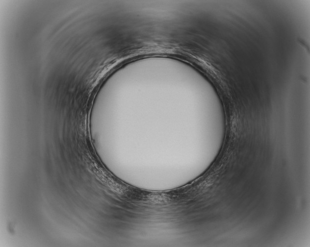 X0000100341220200806261318