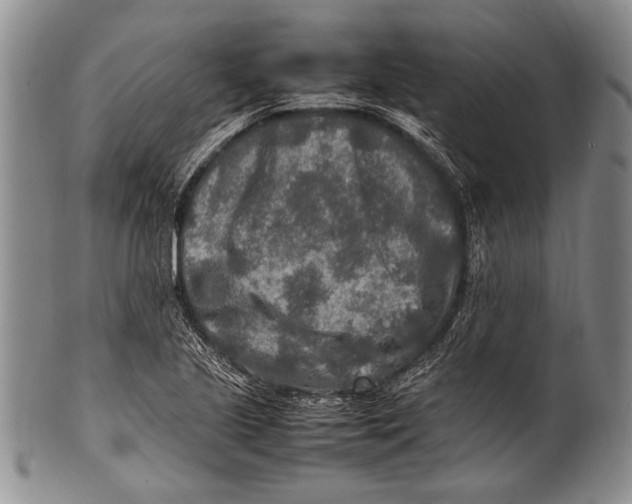 X0000100341221200806261318