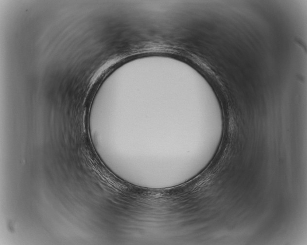 X0000100341222200806261318