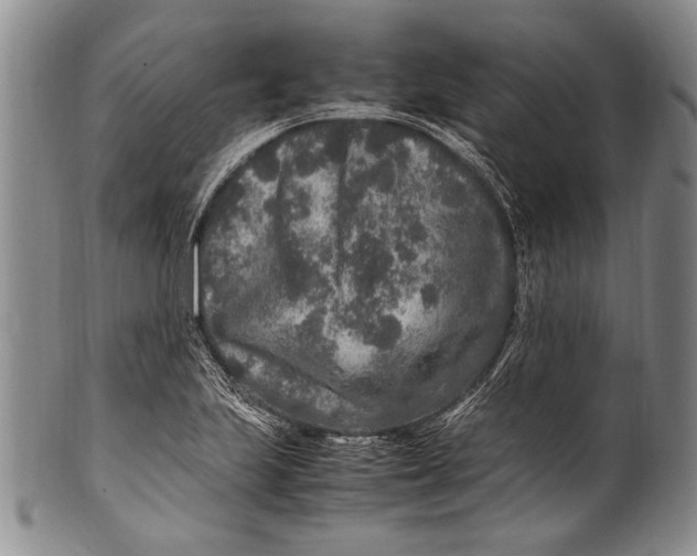 X0000100341223200806261318