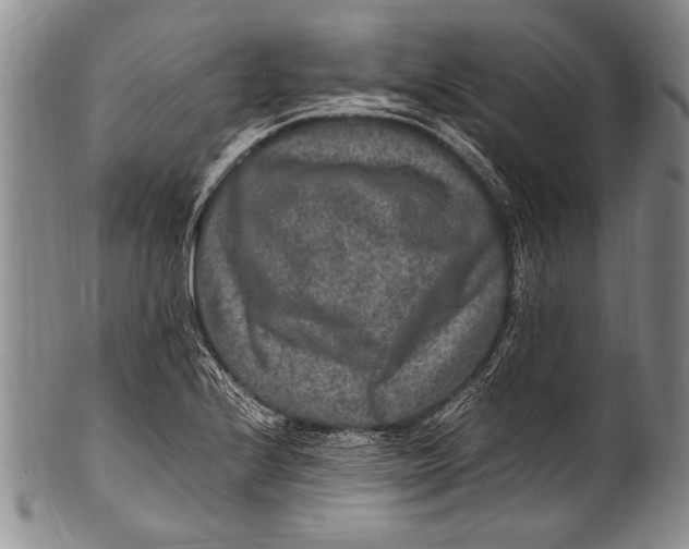 X0000100341224200806261318