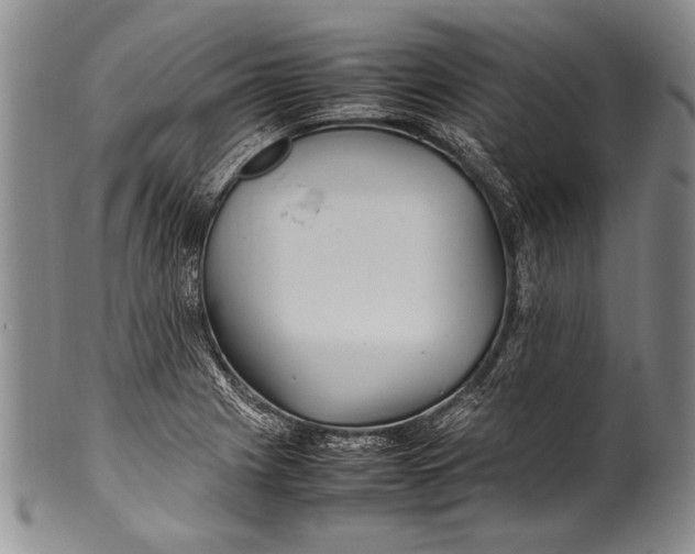 X0000100341225200806261318