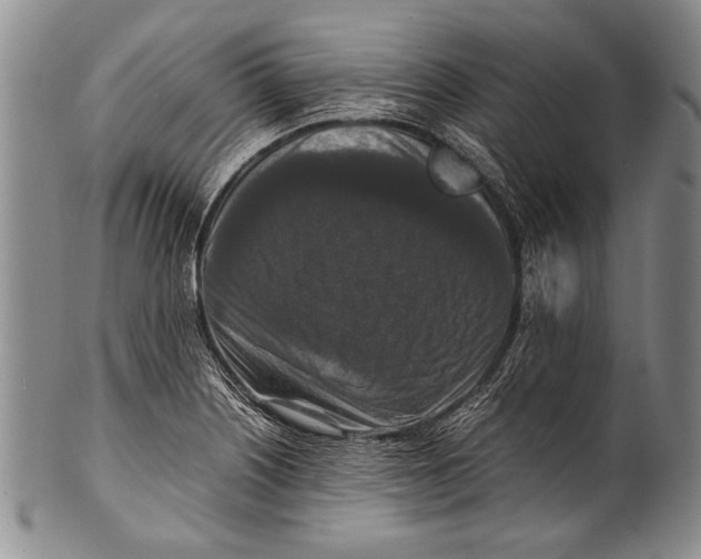 X0000100341226200806261318