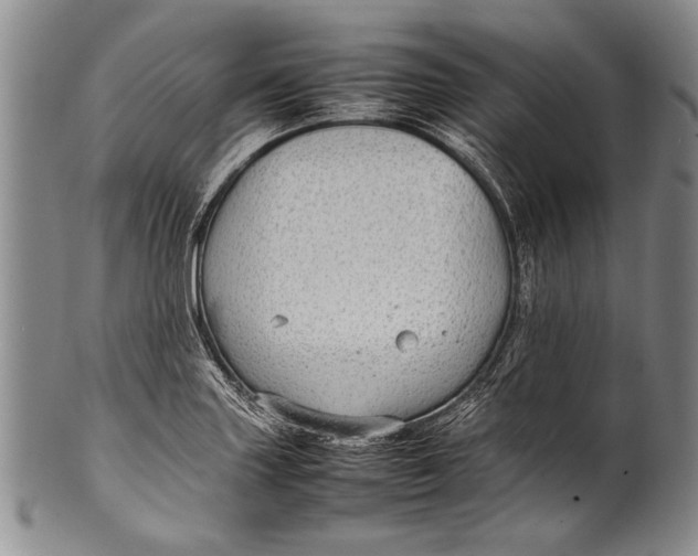 X0000100341227200806261318