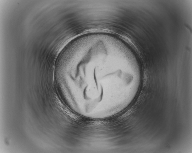 X0000100341228200806261319