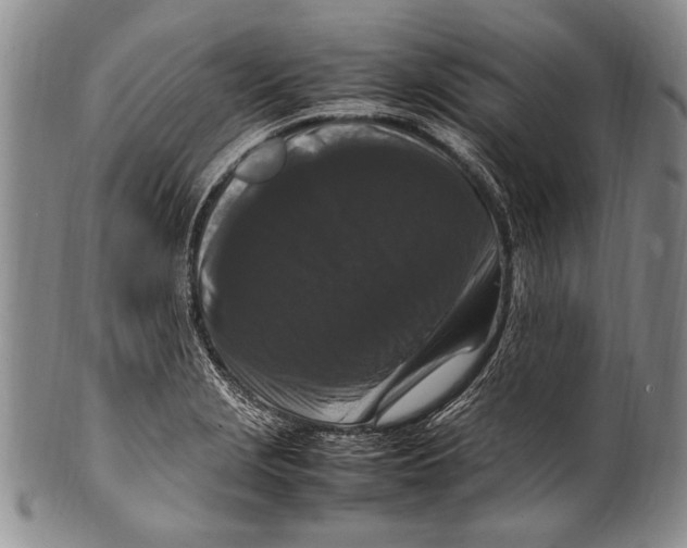 X0000100341229200806261319