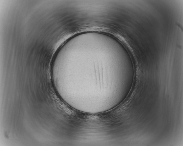 X0000100341230200806261319