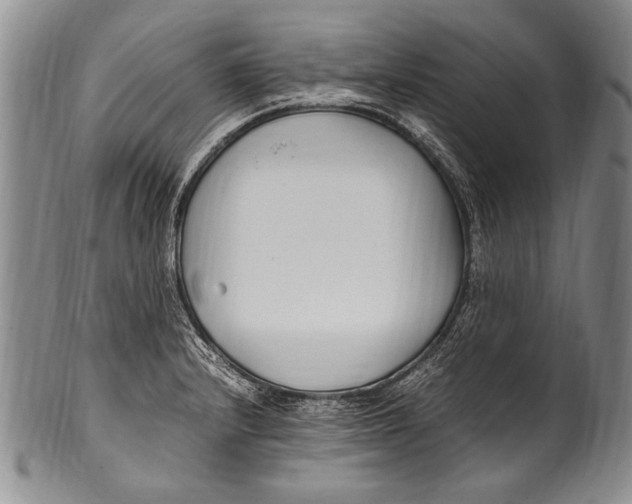 X0000100341232200806261319