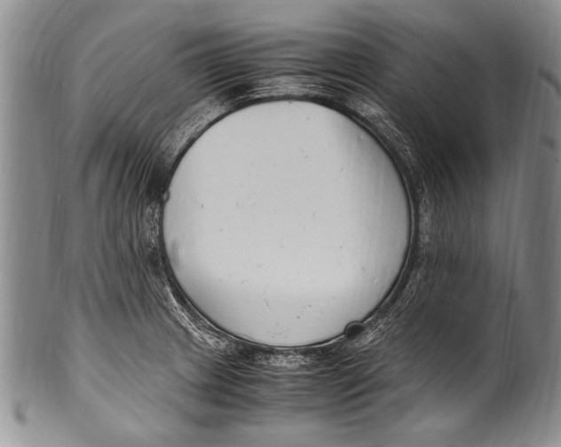 X0000100341233200806261319