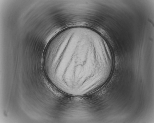 X0000100341234200806261319