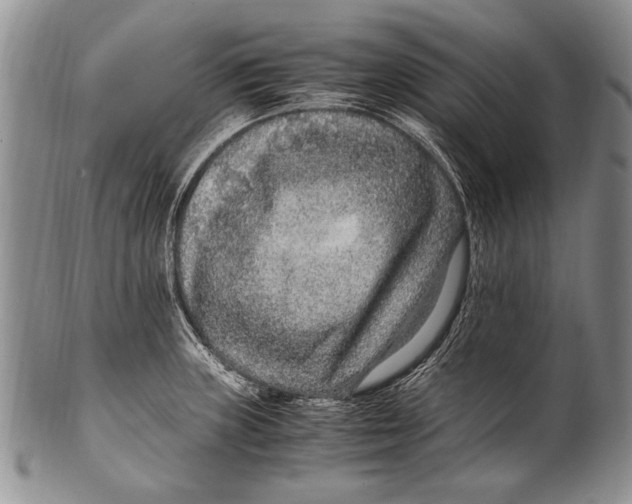 X0000100341235200806261319