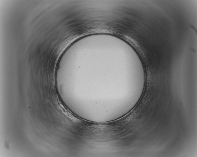 X0000100341236200806261319