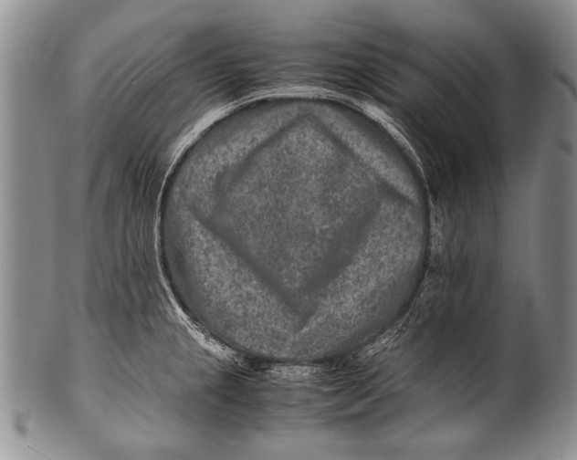 X0000100341237200806261319