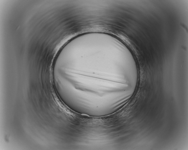 X0000100341238200806261319