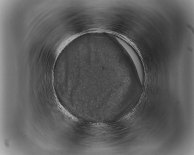 X0000100341239200806261319