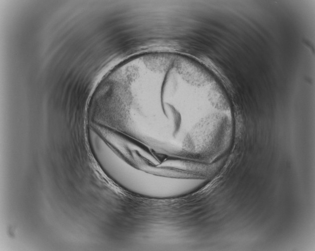 X0000100341240200806261319