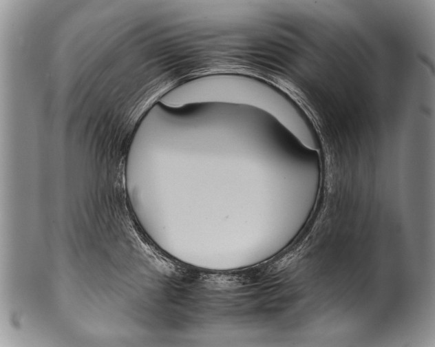 X0000100341241200806261319