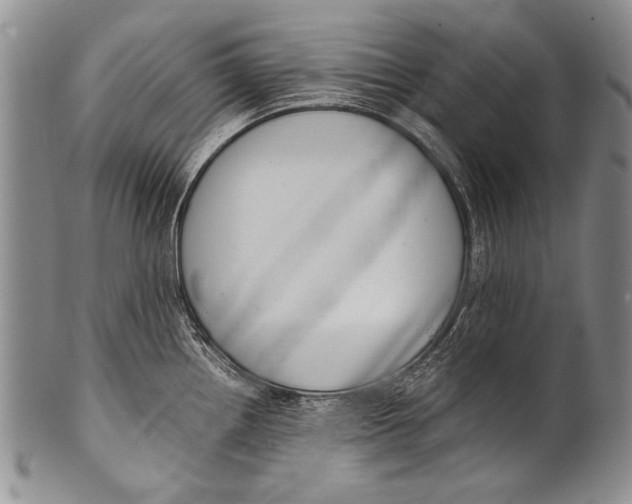 X0000100341242200806261319