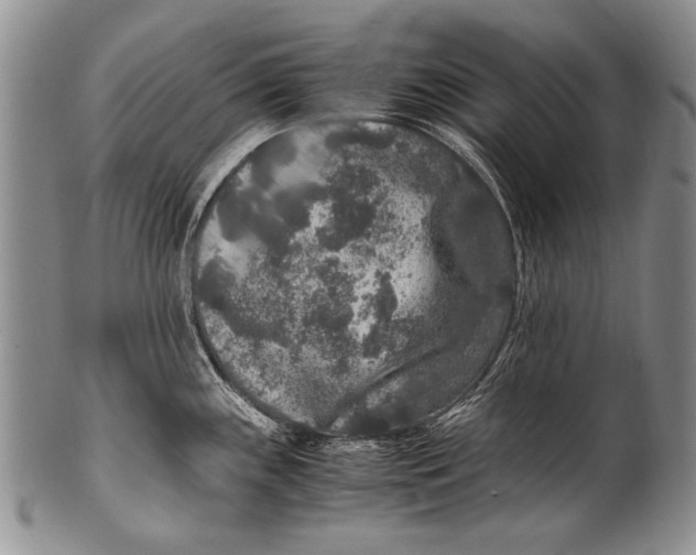 X0000100341243200806261319