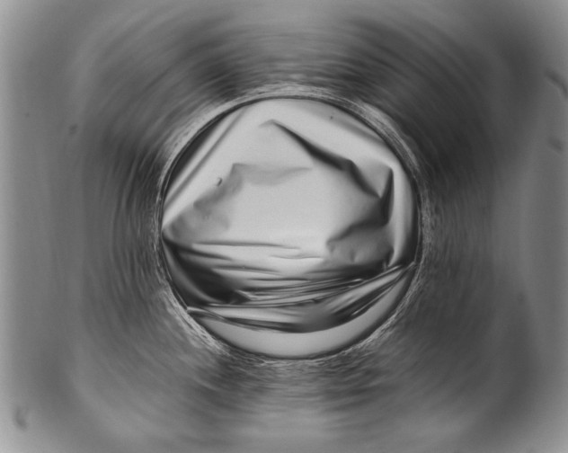 X0000100341244200806261319