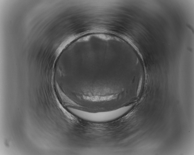 X0000100341245200806261319