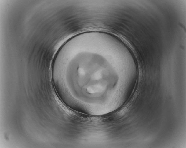 X0000100341246200806261319