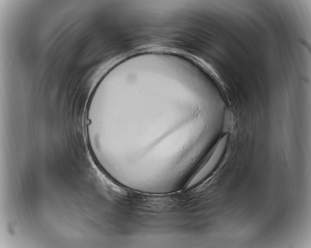 X0000100341247200806261319