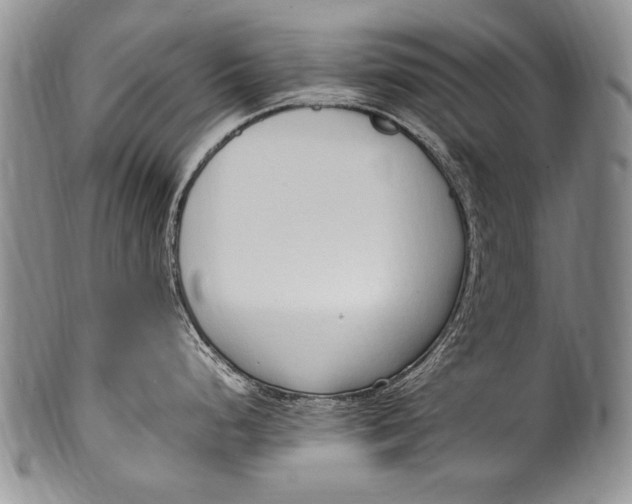 X0000100341248200806261319