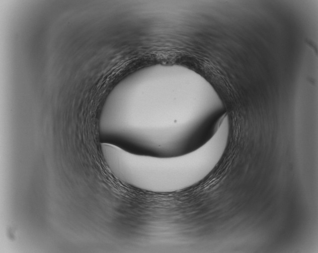 X0000100341249200806261318